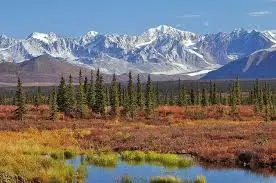 Alaska